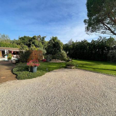 Mas De La Butte Blanche Bed & Breakfast Orgon Dış mekan fotoğraf