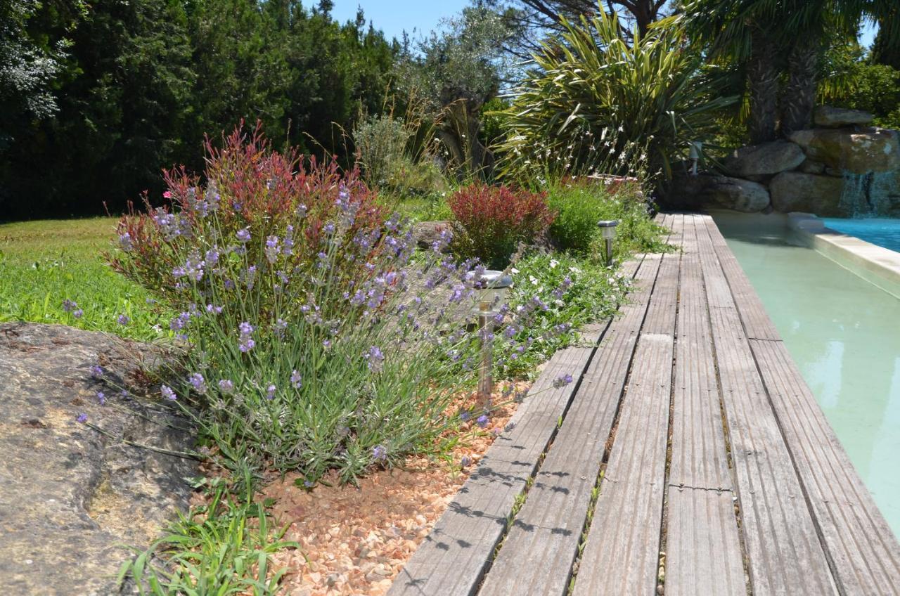 Mas De La Butte Blanche Bed & Breakfast Orgon Dış mekan fotoğraf